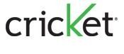 Cricket Logo.jpg